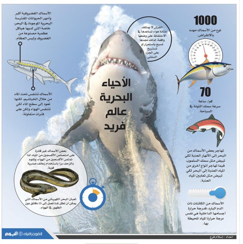 الأحياء البحرية عالم فريد