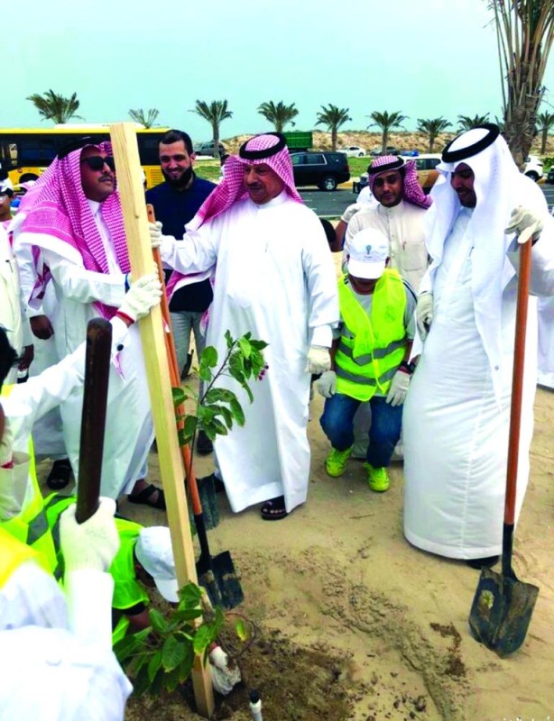 700 شتلة لتلطيف الجو بالخفجي