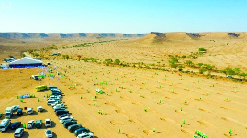 6 ملايين شجرة تكافح التصحر في المناطق
