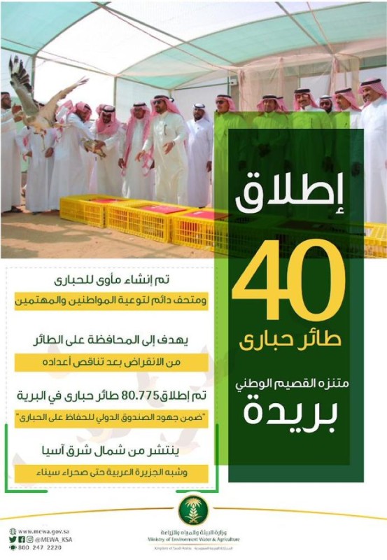 إطلاق 40 طائر «حبارى» في متنزه القصيم 