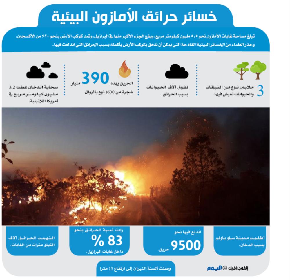 خسائر حرائق الأمازون البيئية