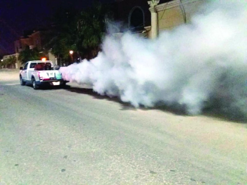 مكافحة نواقل الأمراض «يوميا» بالخبر