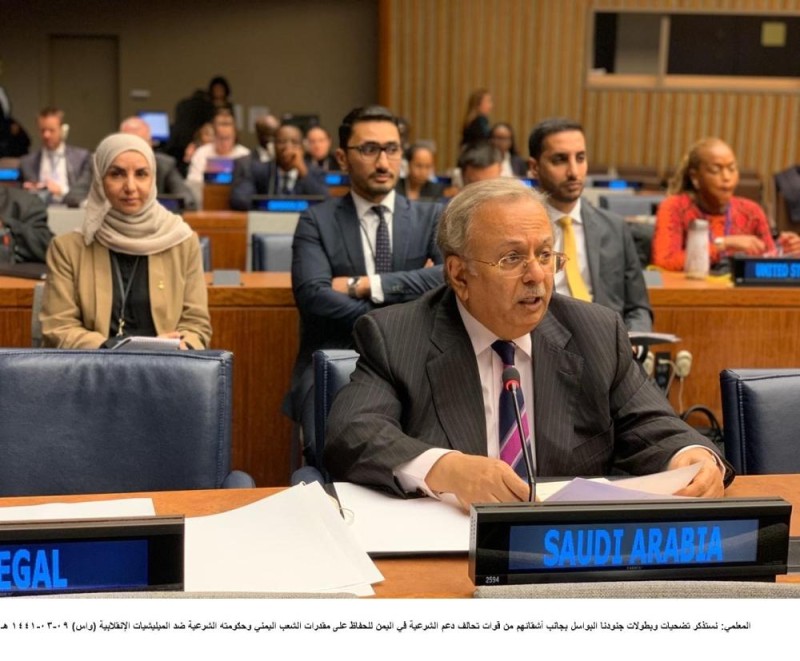 «المعلمي» يستعرض بطولات جنودنا للحفاظ على شرعية اليمن