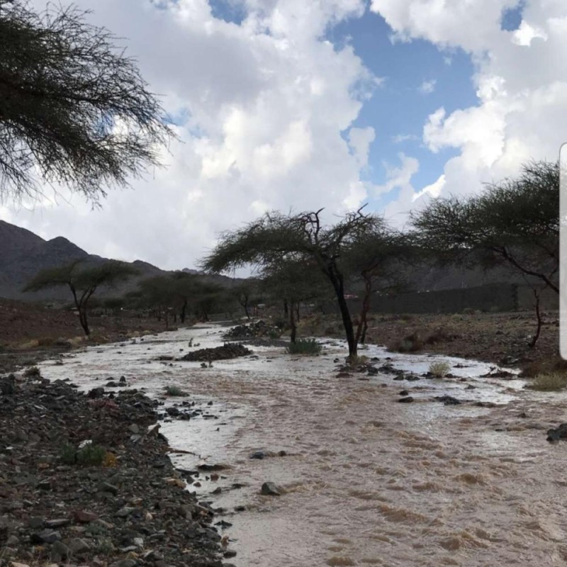 هطول أمطار على رفحاء