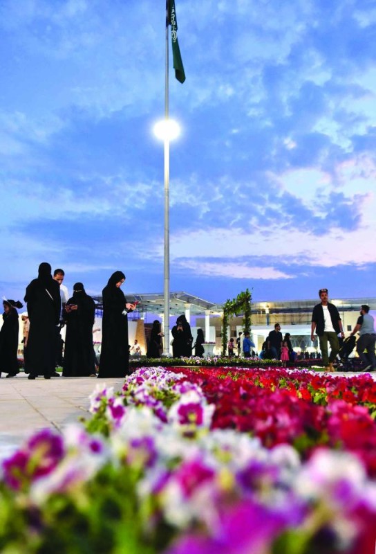 العوامية.. زهرة الشتاء