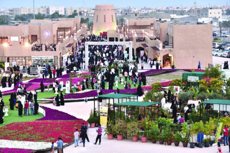 العوامية.. زهرة الشتاء