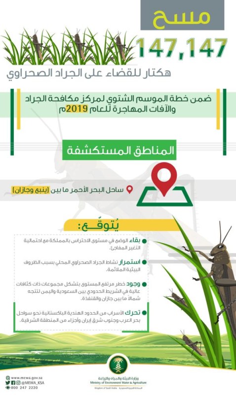 'البيئة' تتوقع استمرار نشاط الجراد الصحراوي 