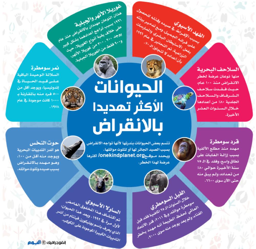الحيوانات الأكثر تهديداً بالانقراض