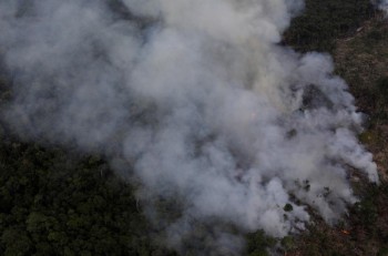 دخان كثيف ناتج عن حرائق الغابات يُغطي سيدني وضواحيها