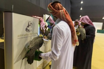 تسجيل المشاركين فى مهرجان الصقور بالرياض وبريدة
