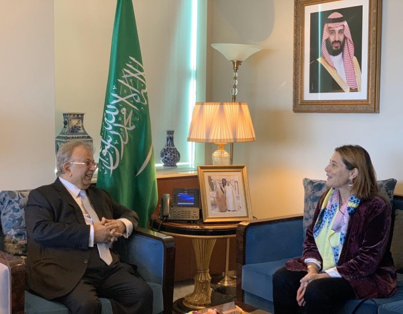 «المعلمي» يبحث مع المنسقة الأممية سبل التعاون