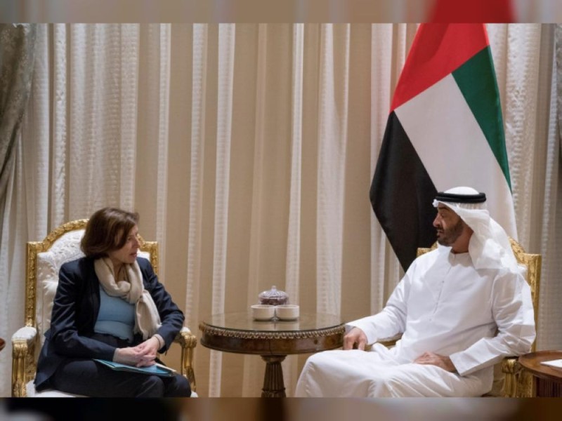 الإمارات وفرنسا تناقشان التعاون العسكري