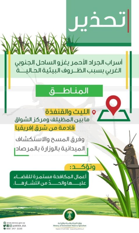«البيئة» تكافح الجراد الأحمر بالساحل الجنوبي الغربي