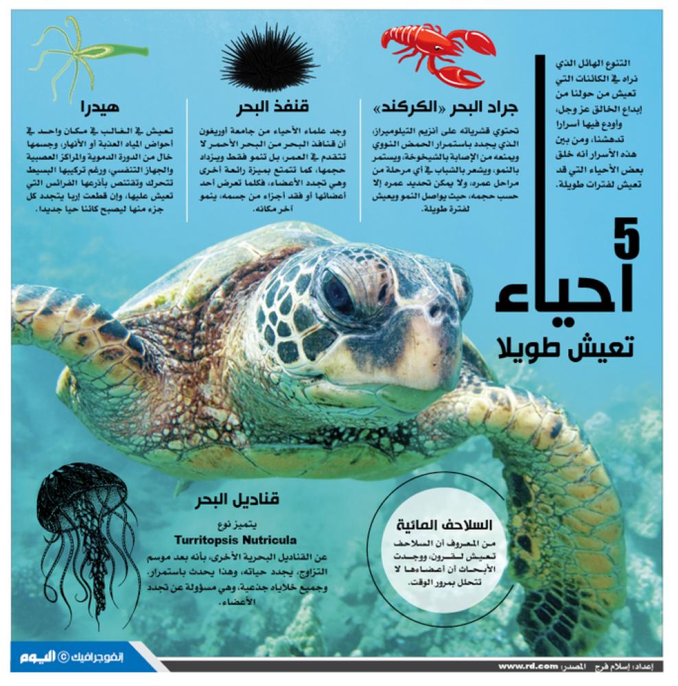 5 أحياء تعيش طويلاً