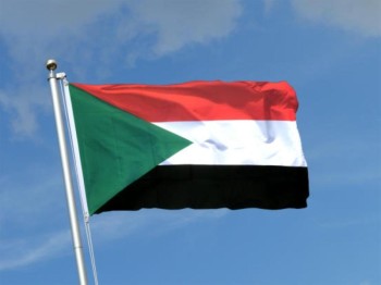 السودان تجيز «تفكيك نظام البشير»