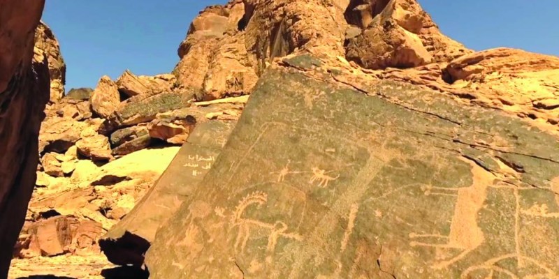 «فنون حائل الصخرية» أكبر متحف طبيعي في العالم