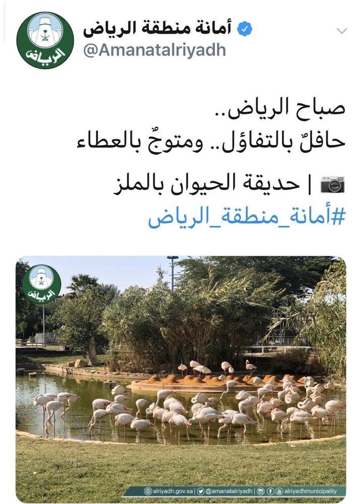 لماذا حذفت أمانة الرياض التغريدة الصباحية؟