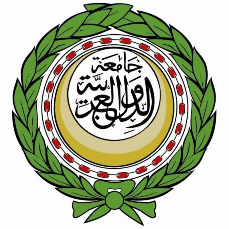 «أبو الغيط»: «العربية» ركيزة هوية الأمة