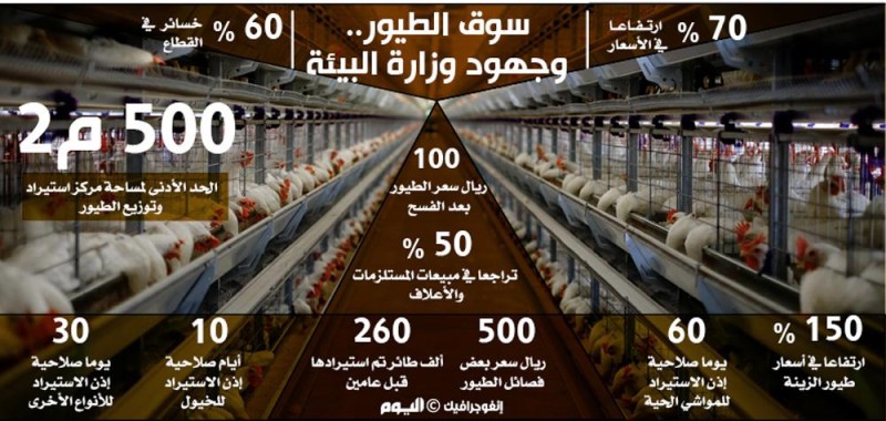 بعد خسائر 60 %.. انفراج أزمة محلات الطيور بالشرقية