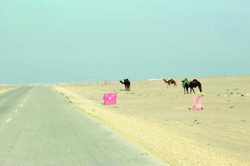طريق الخفجي - أبرق الكبريت مسرح للحوادث