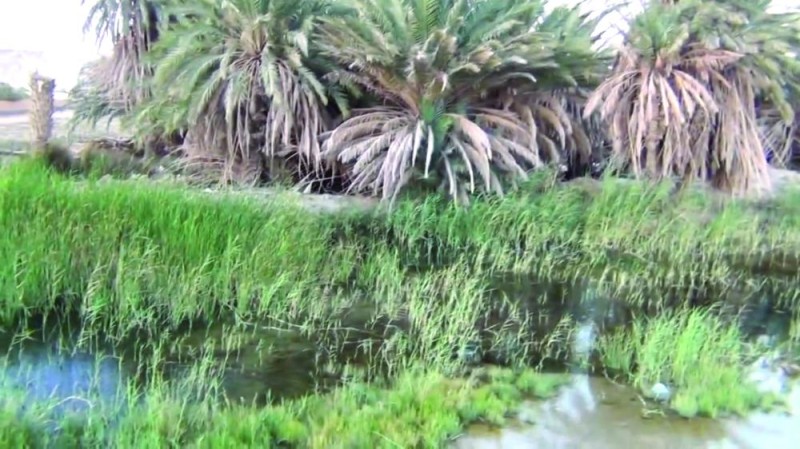 قرية «الحواس» بالجوف.. مناظر خلابة وأماكن أثرية