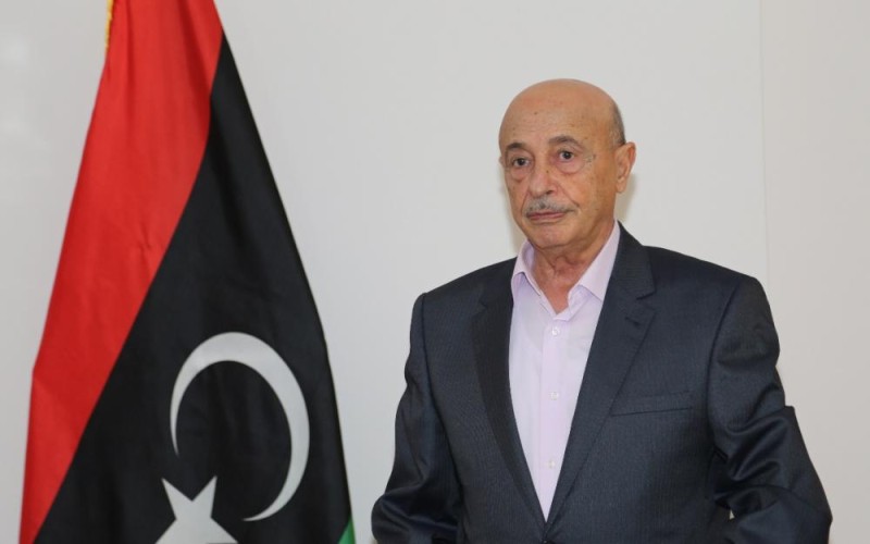 «النواب» الليبي يرفض التدخل التركي: يؤدي لزعزعة الاستقرار 