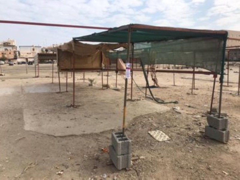 3 أيام مهلة لإزالة عشوائيات سوق الطيور بالقطيف