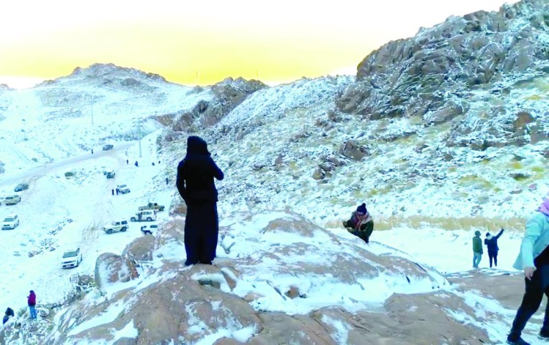 «اللوز» أعلى قمة جبلية في تبوك