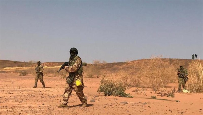 مقتل 63 إرهابيا و25 شخصاً في هجوم بالنيجر
