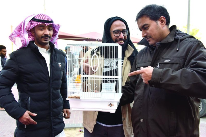سوق الطيور بالدمام.. ملتقى هواة «الأنواع النادرة»
