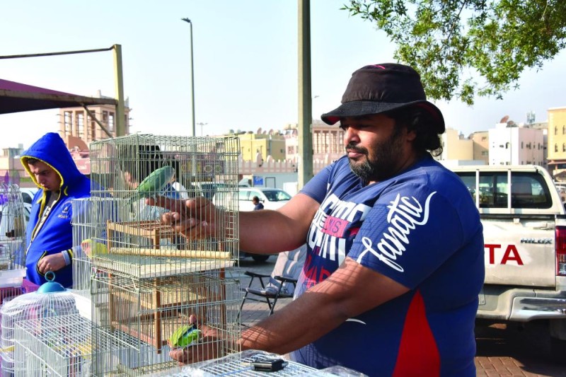 سوق الطيور بالدمام ملتقى هواة الأنواع النادرة