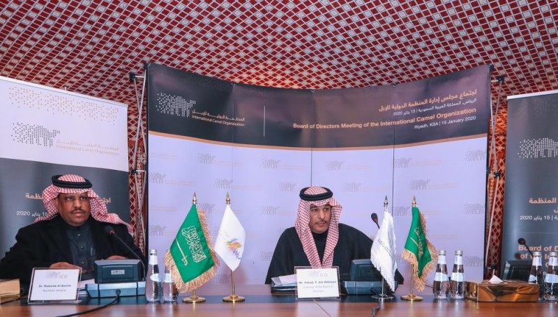 إنشاء مركز دولي للتحكيم والوساطة في منازعات الإبل