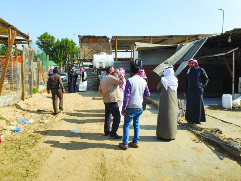 تفاعلا مع «اليوم».. 6 جهات تتحرك لإزالة الحظائر المخالفة بالنابية