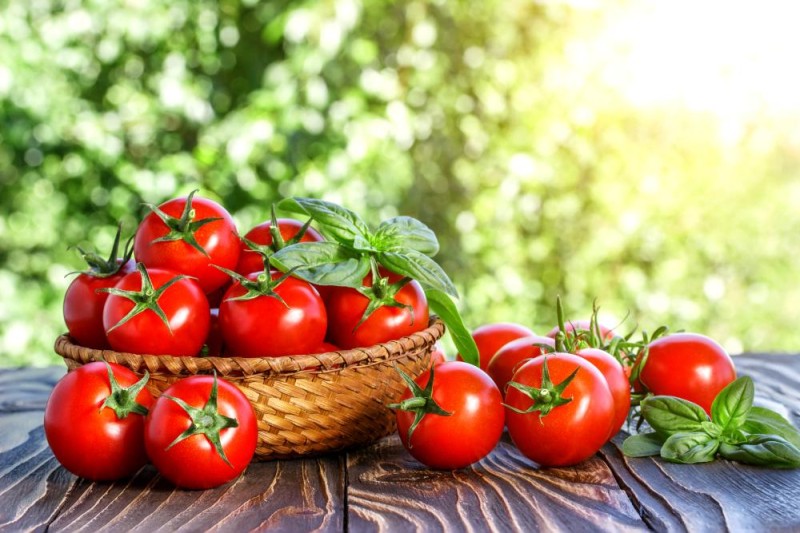 الطماطم تحسن خصوبة الرجال بنسبة 40 %
