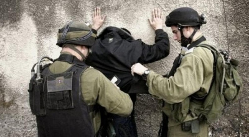 قوات الاحتلال تعتقل 12 فلسطينيا من جنين