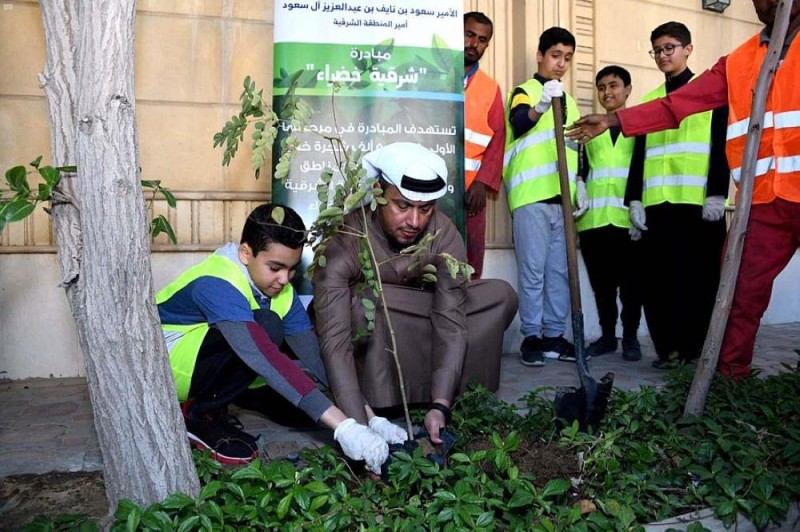 103 آلاف شجرة تزين الشرقية