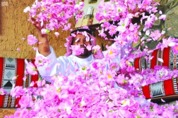 «الورد الطائفي».. مصدر عطر الملوك والأمراء والأغلى في العالم