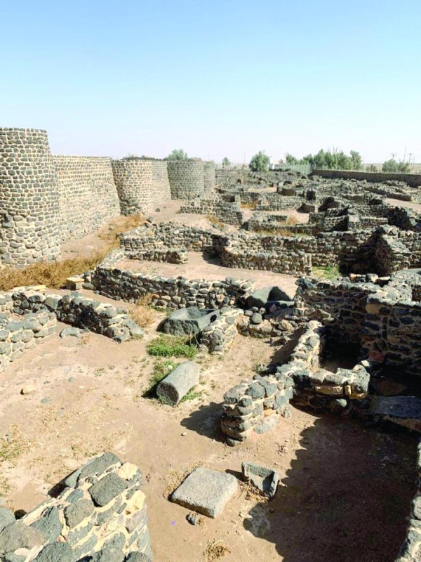 «فيد».. حمى إبل الصدقة ونجائب الخيل العربية قديما