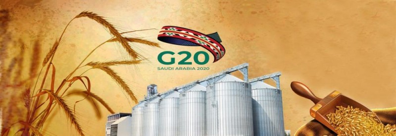 طرح مناقصة لاستيراد 715 ألف طن قمح