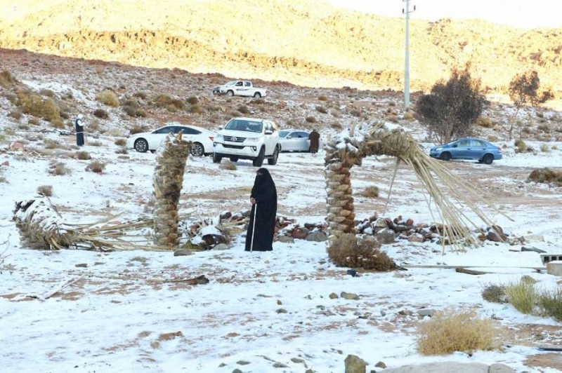 بالصور.. الثلوج ترسم لوحة فنية على جبال اللوز 