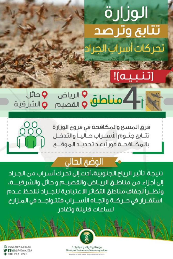 «البيئة» تقضي على الجراد في 4 مناطق