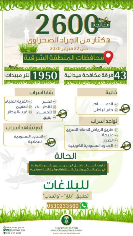 معالجة 2600 هكتار من الجراد الصحراوي بالشرقية