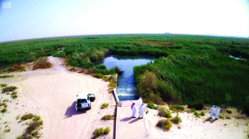 «بحيرة الأصفر».. كحل الصيف وبياض الشتاء