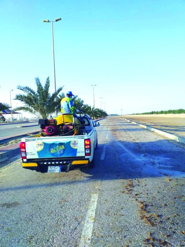 مكافحة الجراد بـ«الهاف مون»