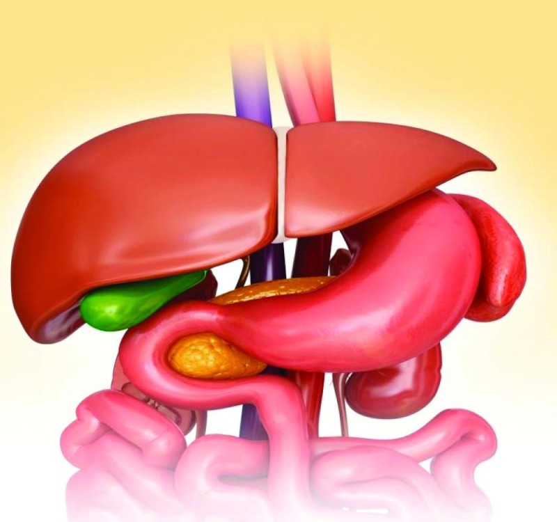 أعراض لسرطان الطحال
6