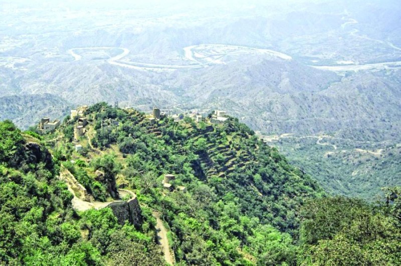 فيفا.. الجمال فوق قمم جبلية تعانق السماء