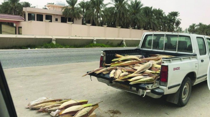«كورونا» يقفز بأسعار لقاح النخيل