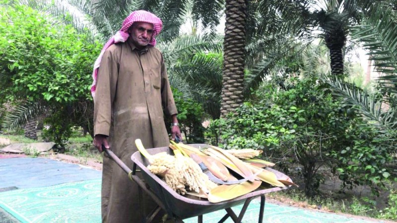 «كورونا» يقفز بأسعار لقاح النخيل
