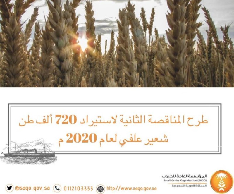 طرح مناقصة لاستيراد 720 ألف طن شعير
