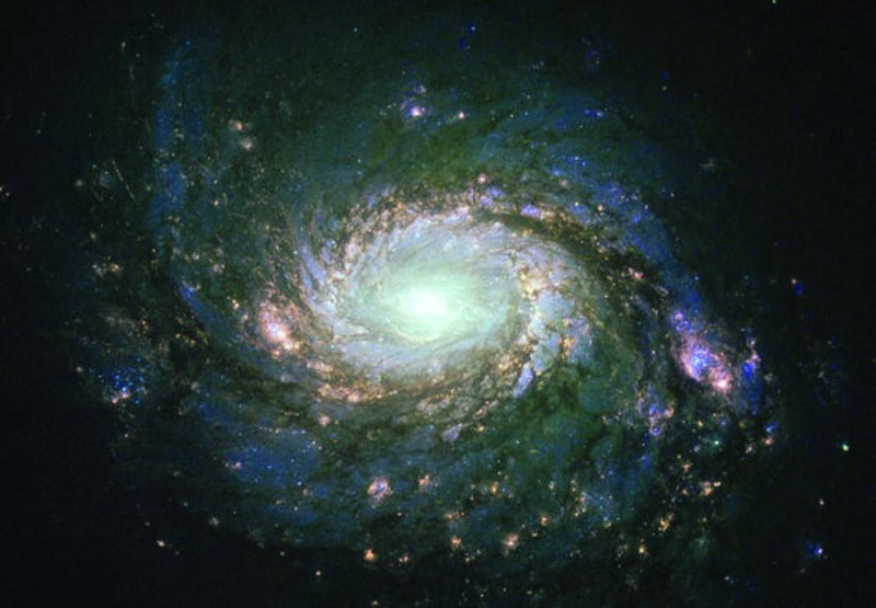 تفاصيل استثنائية لجزيرة «M77»